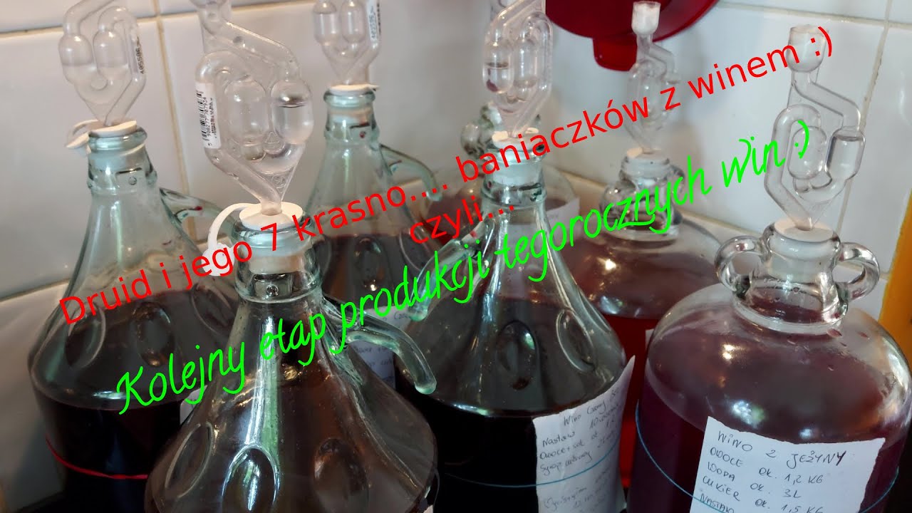 Odrzucanie owoców z nastawu i zlewanie wina znad osadu