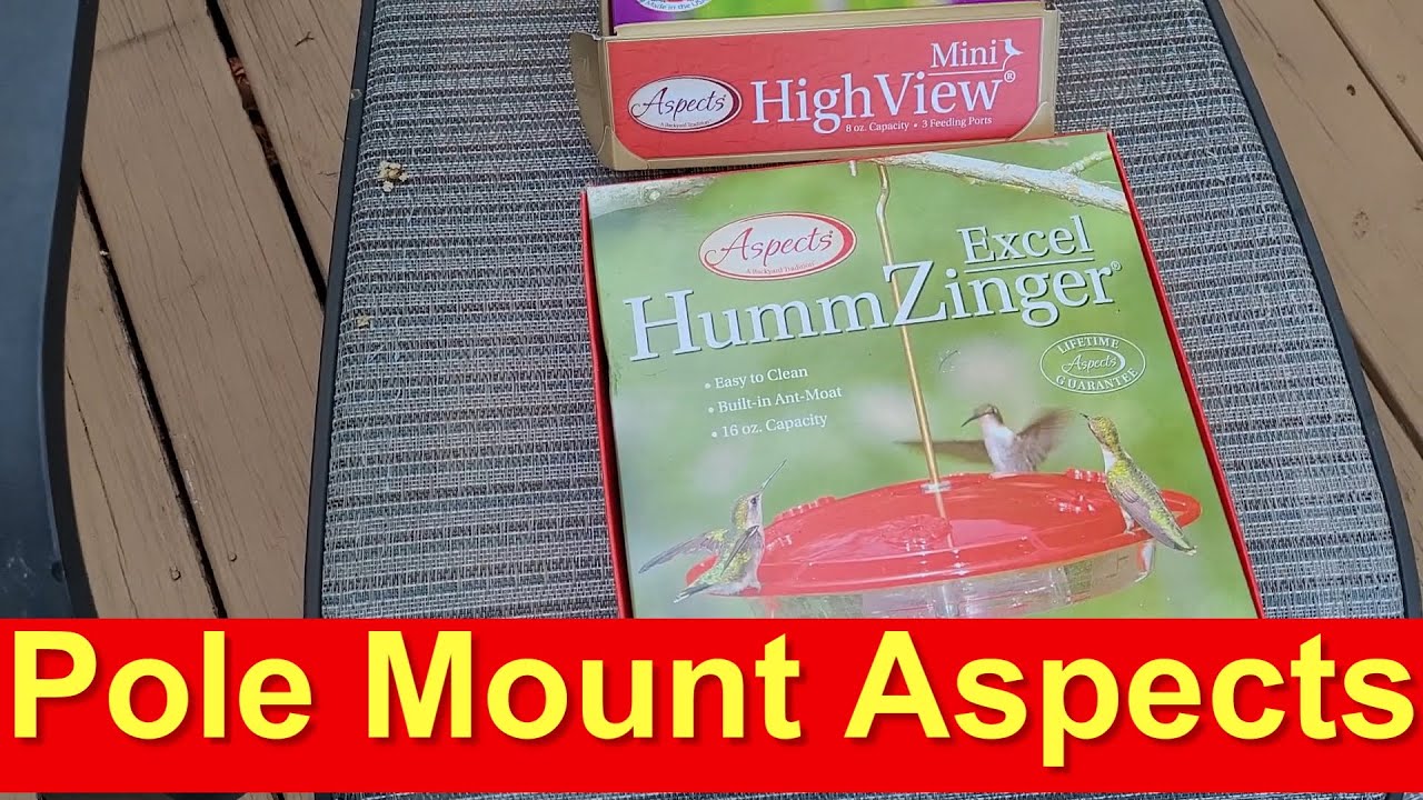 Aspects hummingbird feeder reviews & pole mounting tips