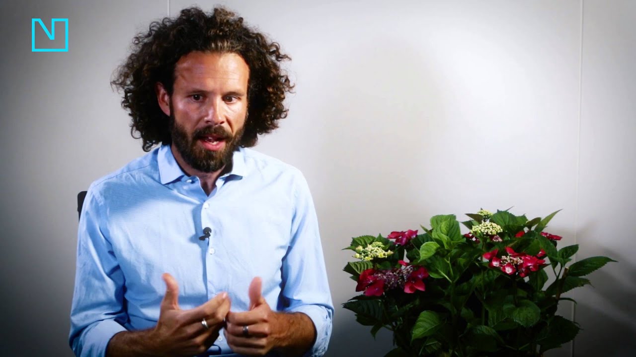 Tristan Mariethoz - Qu'est-ce que l'effet rebond ? - NiceFuture 24