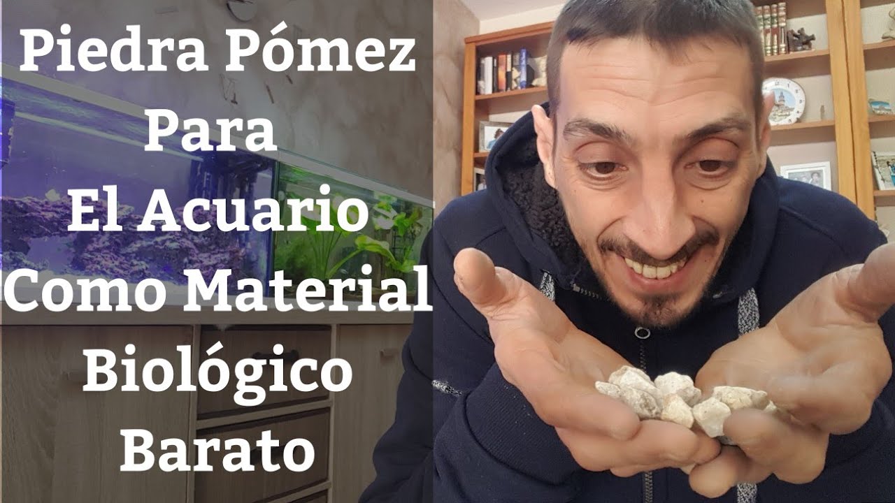🔵 Piedra Pómez 