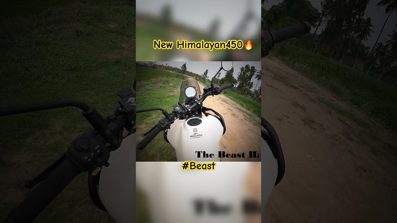 New Himalayan450🔥 #himalayan450 #himalayan #rehimalayan #royalenfieldhimalayan