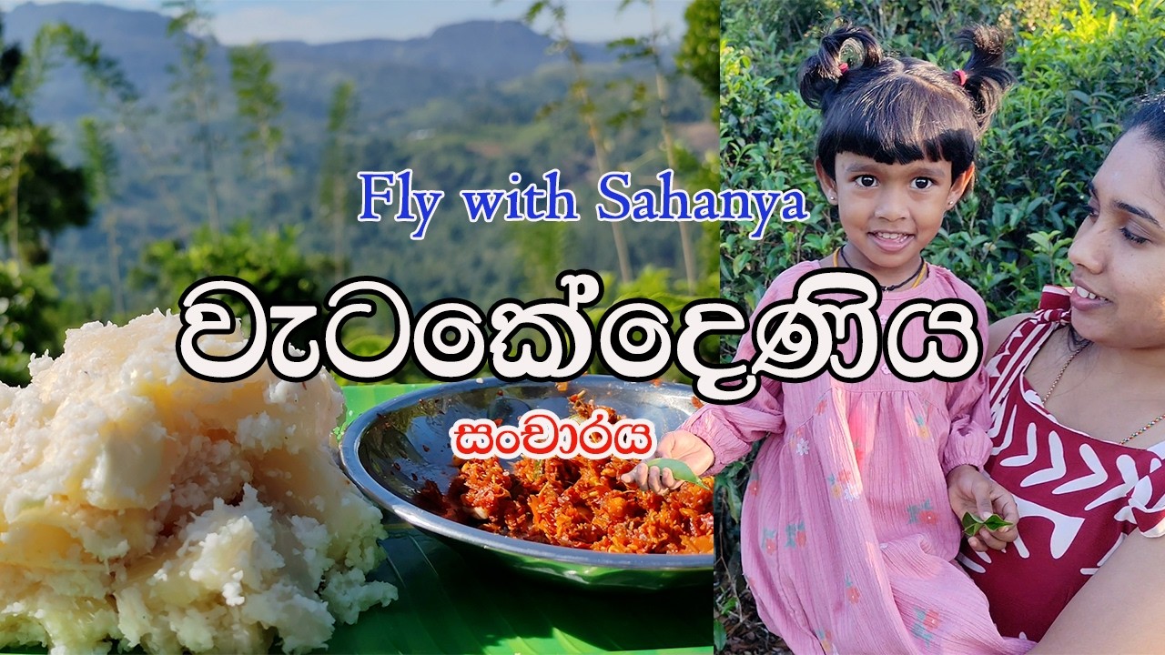 වැටකෙදෙණිය කඳු මුදුනේ අමතක නොවන අත්දැකීමක්  Unforgettable Adventure at Watakedeniya Mountain Peak
