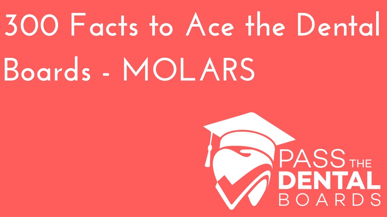 300 Dental Anatomy Facts PART 5 - MOLARS - NBDE Part 1