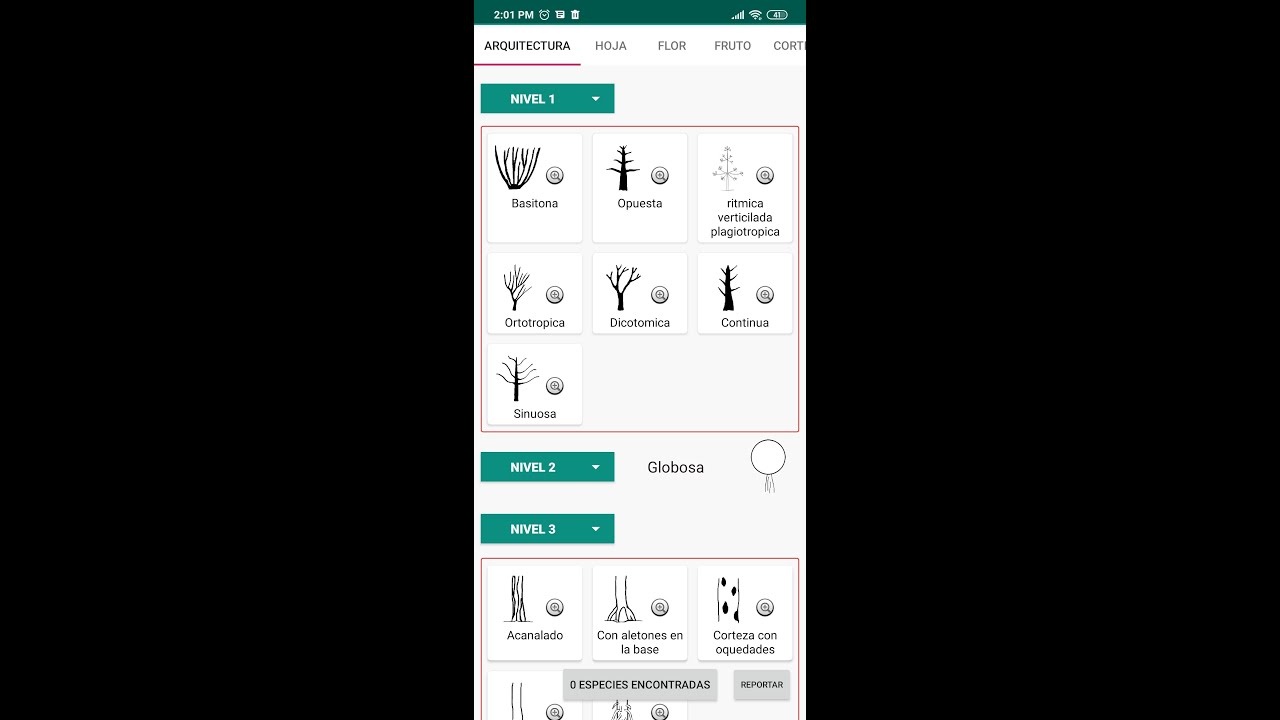Gu&iacute;a dendrol&oacute;gica para la identificaci&oacute;n de especies forestales
