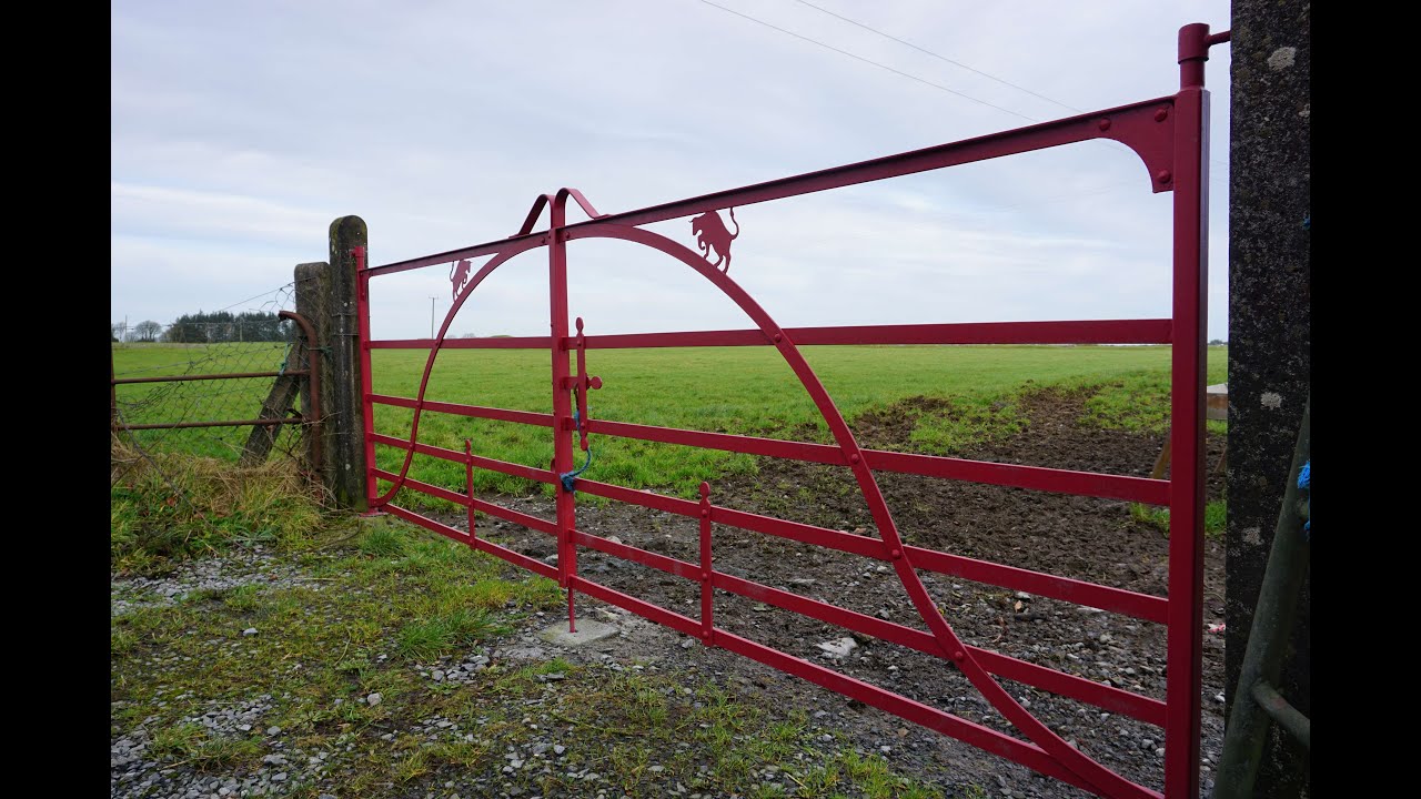 Nuffield Dispatches: Queen Medb