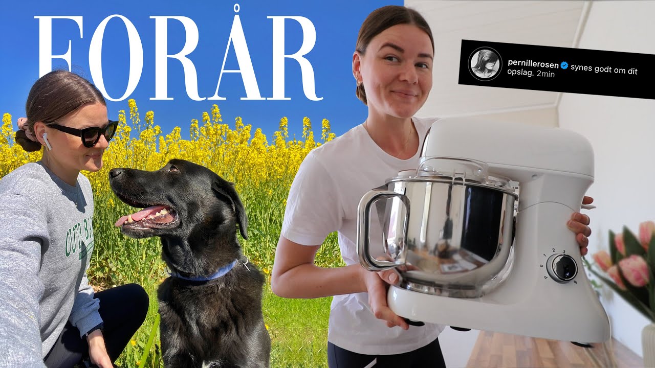 EN SKØN FORÅRSDAG 🌼
