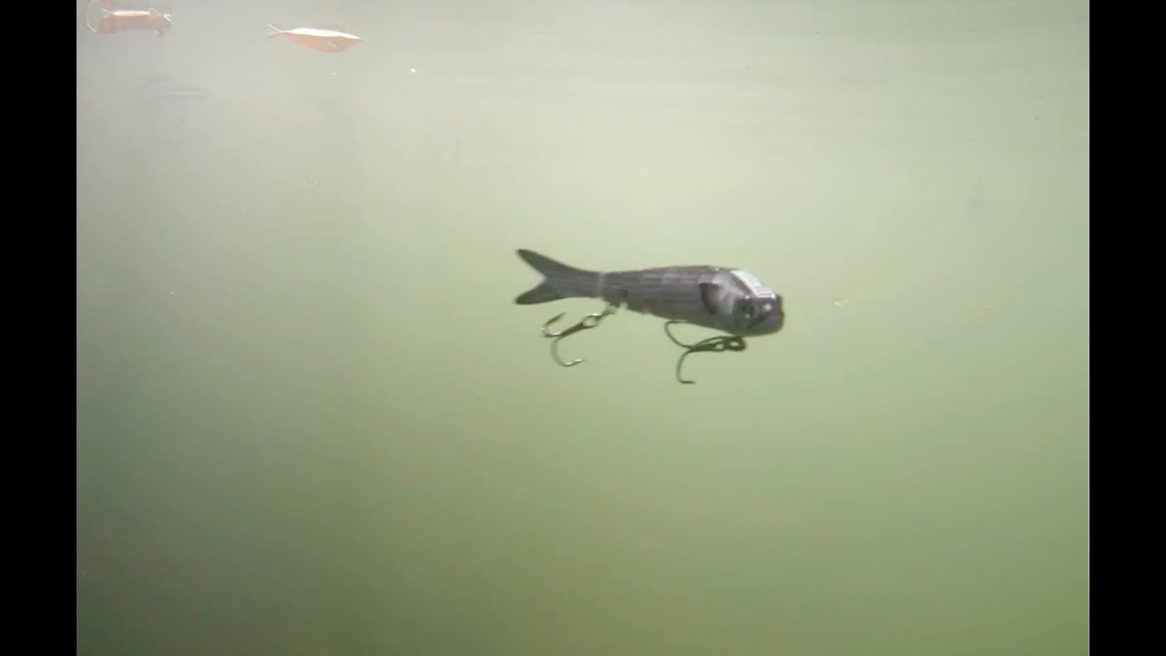 NEW 3.5" Motion Minnow Slow Sinking Swimbait Lures