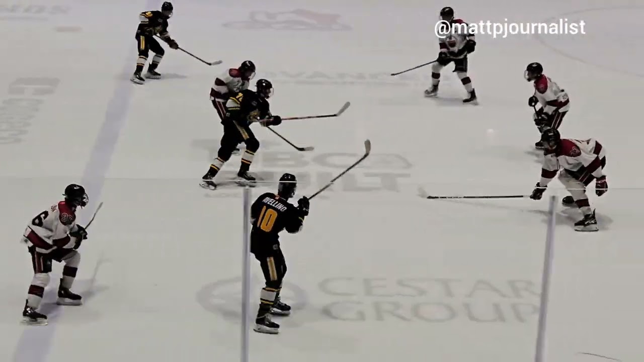 2024-2025 Alliance AAA U16 Hockey - Brantford 99ers vs Sarnia-Lambton Jr. Sting.