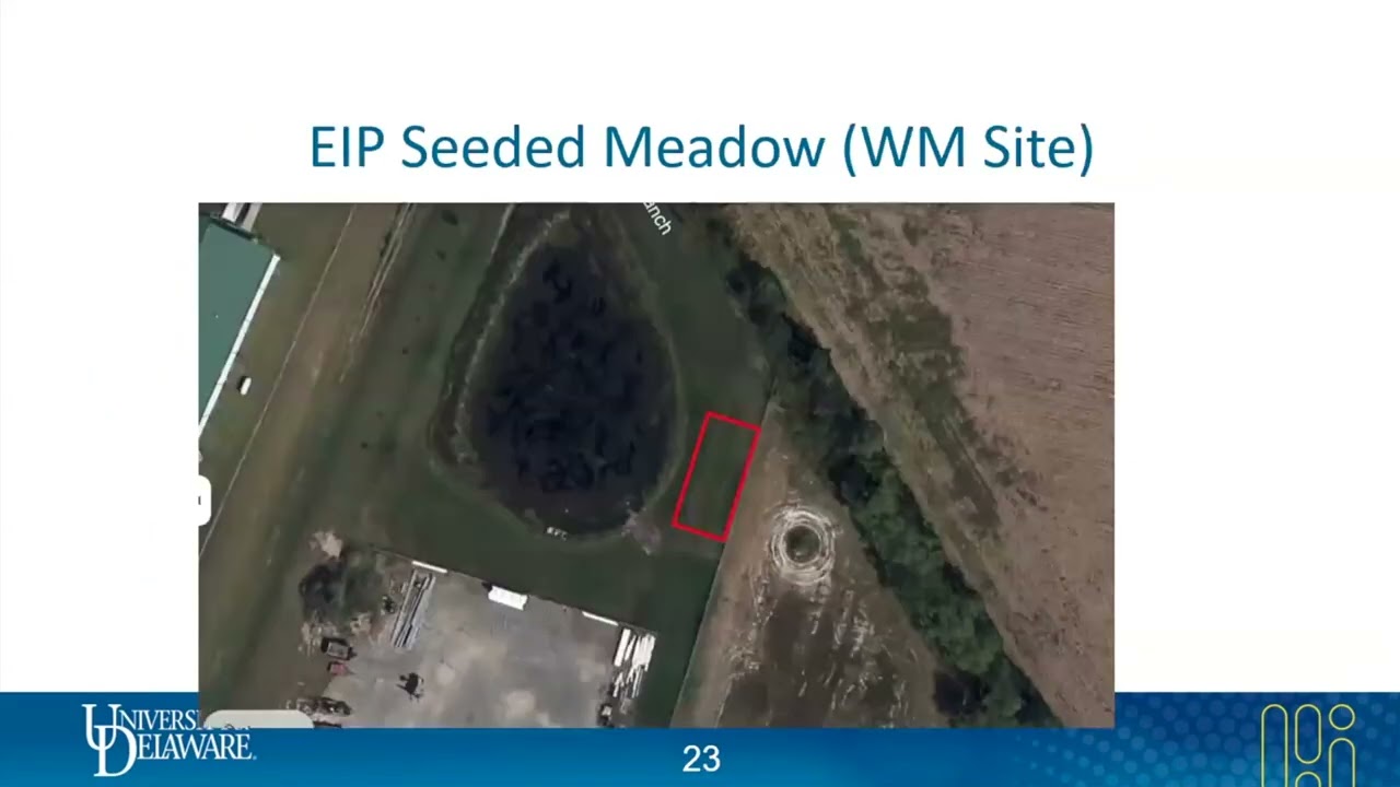 Enhancing Stormwater Management Areas with Natives Blake Moore