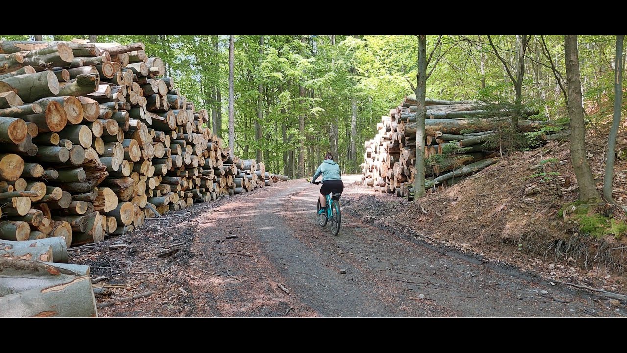 8. 5. 2024 | Tesák - Bystřice pod Hostýnem
