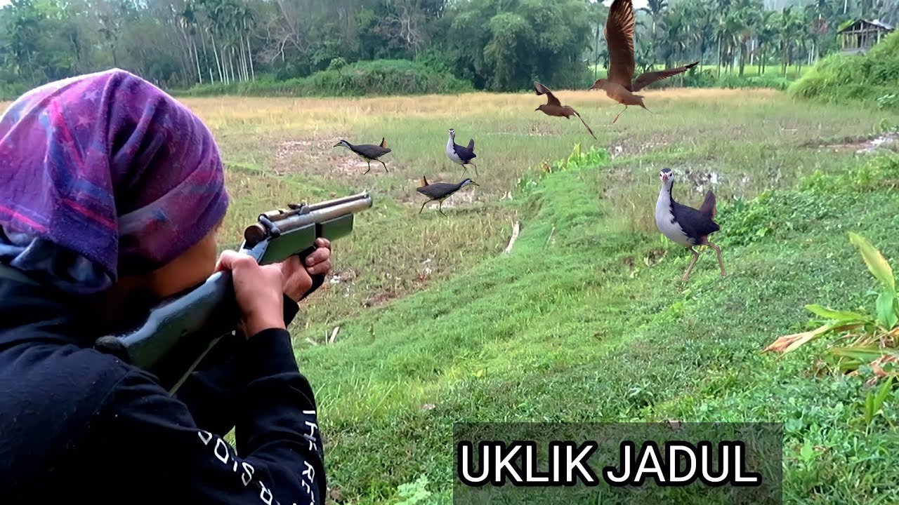 PANEN BURUNG RUAK RUAK DENGAN UKLIK JADUL