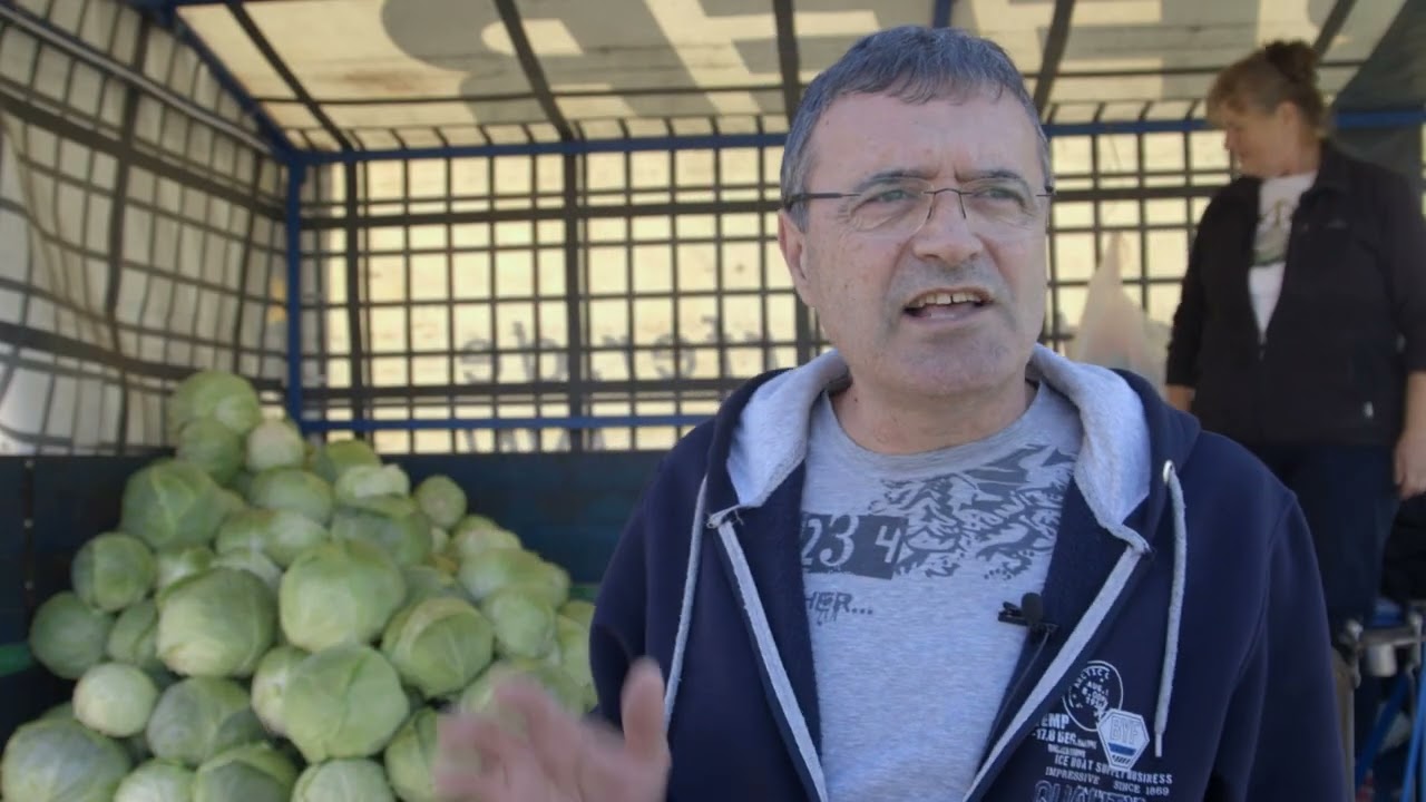 Proizvodnja i PLASMAN FUTOSKOG kupusa - U nasem ataru 1075