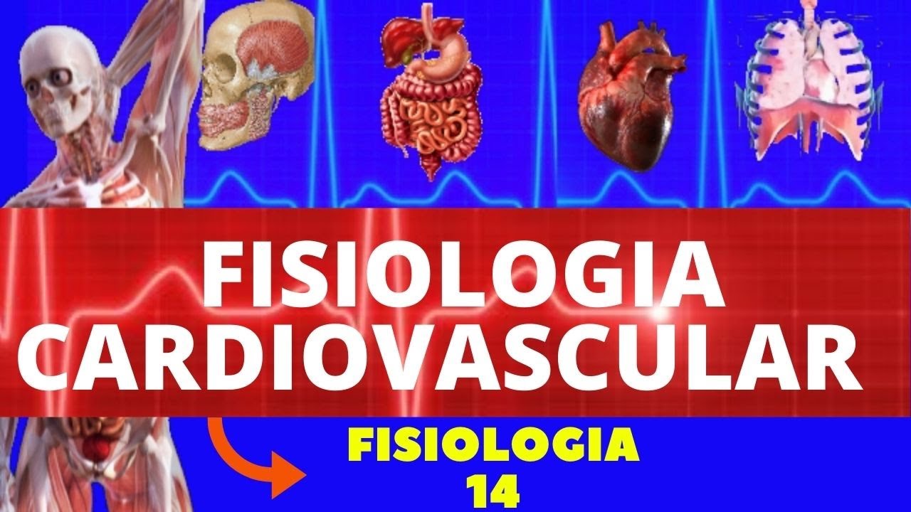 FISIOLOGIA CARDIOVASCULAR INTRODUTÓRIA (FISIOLOGIA HUMANA) - SISTEMA CARDIOVASCULAR (GUYTON)