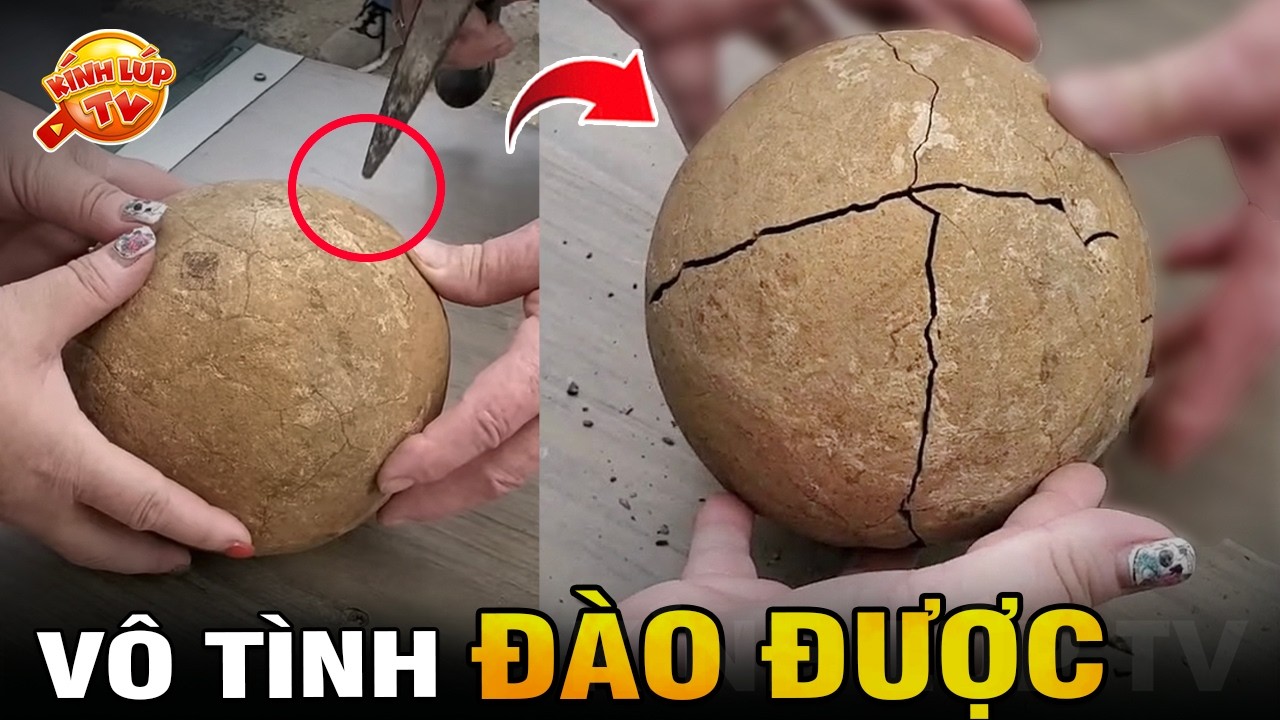 🔥 7 Thứ Kỳ Lạ Được Phát Hiện Trong Đá Khiến Bạn Không Tin Là Chúng Tồn Tại | Kính Lúp TV