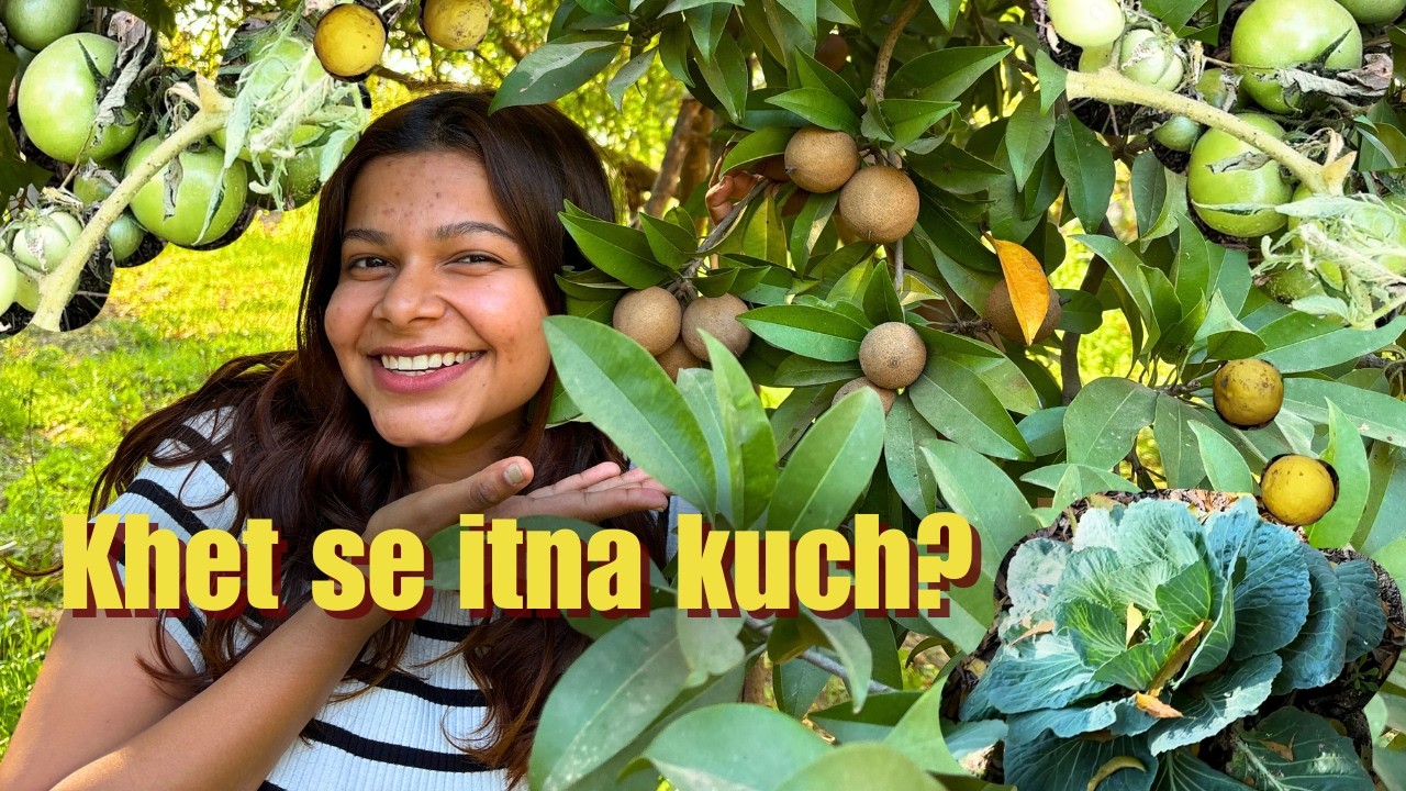 Ghar Ka Organic Garden Tour 🌿 | Dhan Se Chawal Kaise Banta Hai | Village Life Vlog