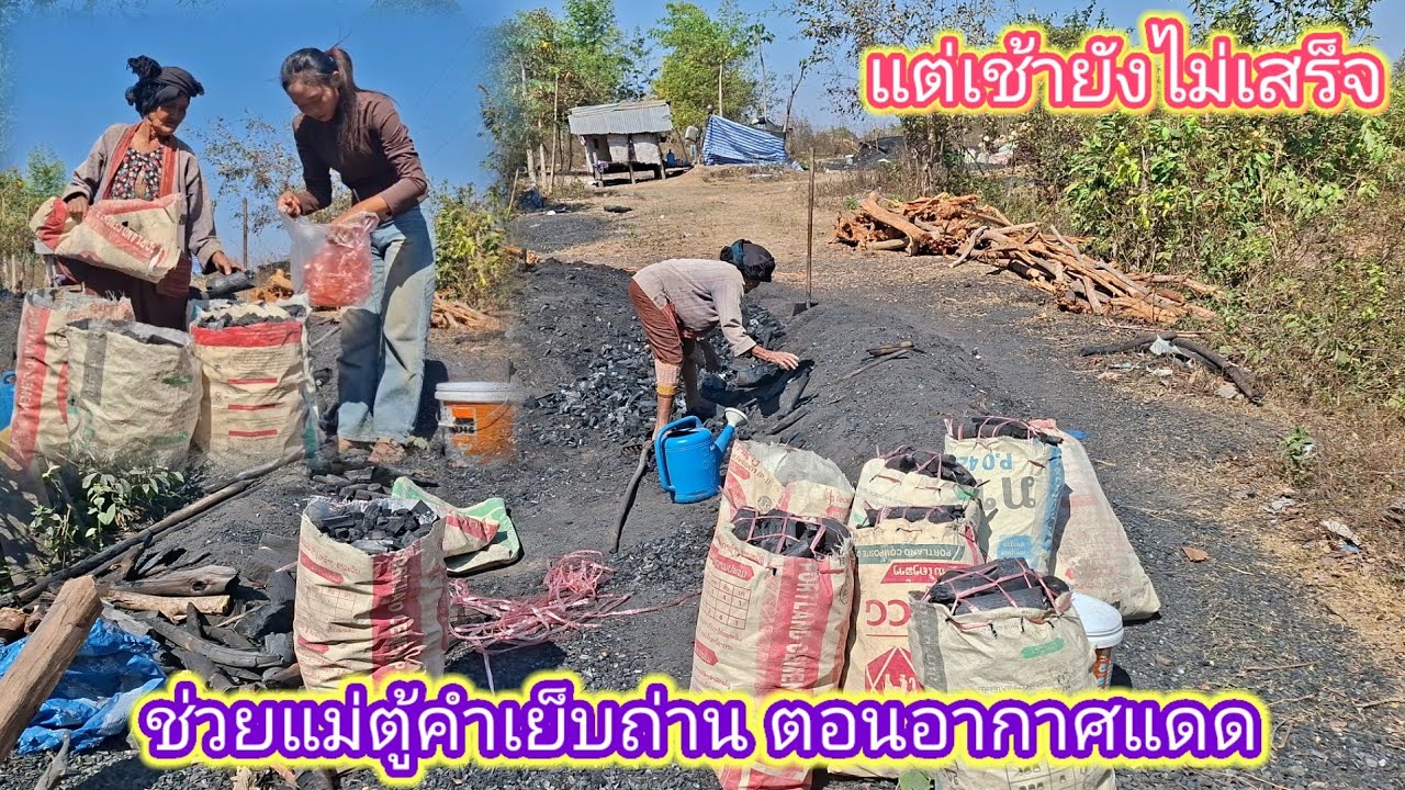 ช่วยแม่ตู้คำตื่นมาควัดถ่านแต่เช้ายังไม่เสร็จ 3 กุมภาพันธ์ ค.ศ. 2026