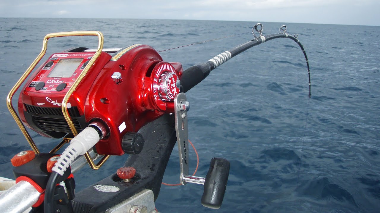 How Much Do Japanese Commercial Fishermen Earn?  |  100kg of Premium Fish a Day