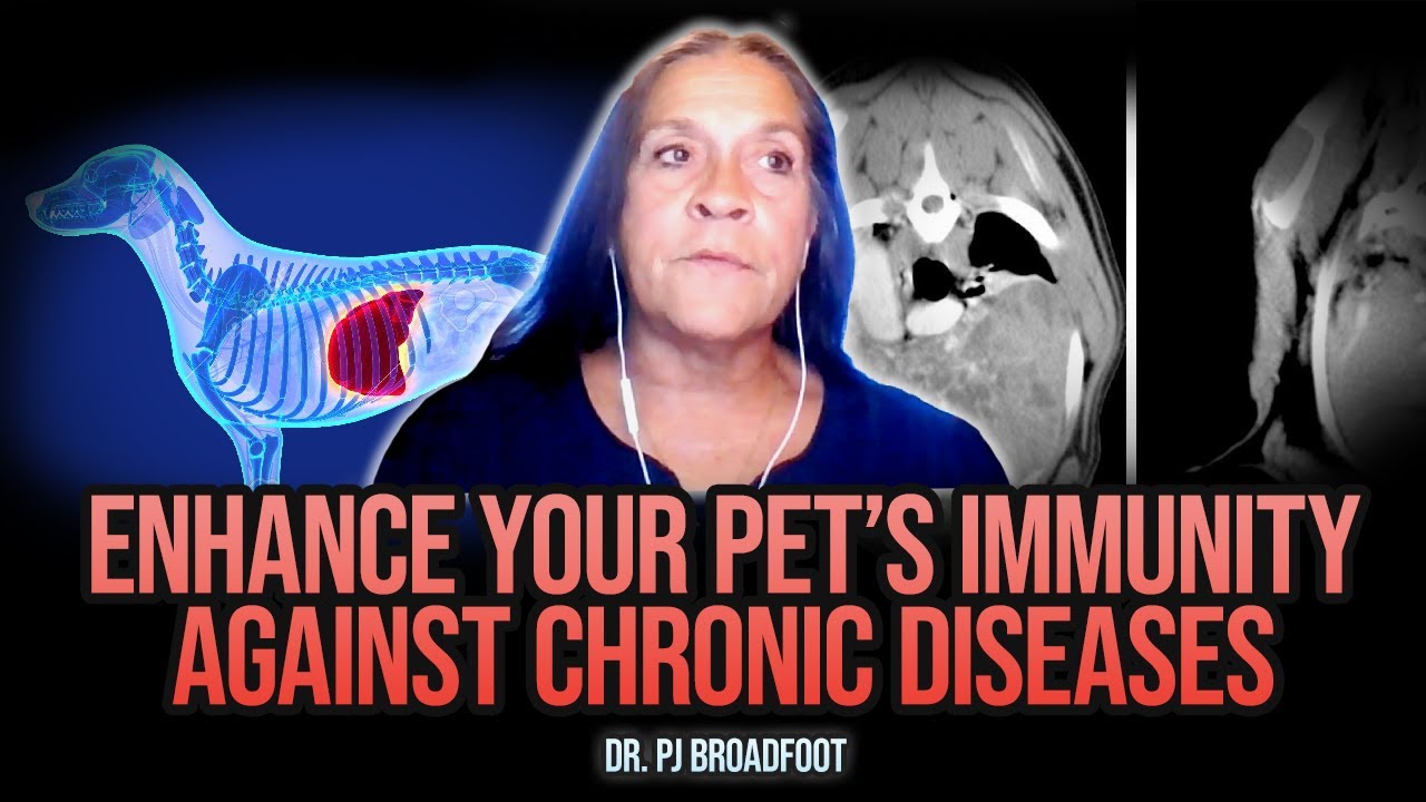 STOP Ignoring Your Pet's Immune Health | Dr. PJ Broadfoot