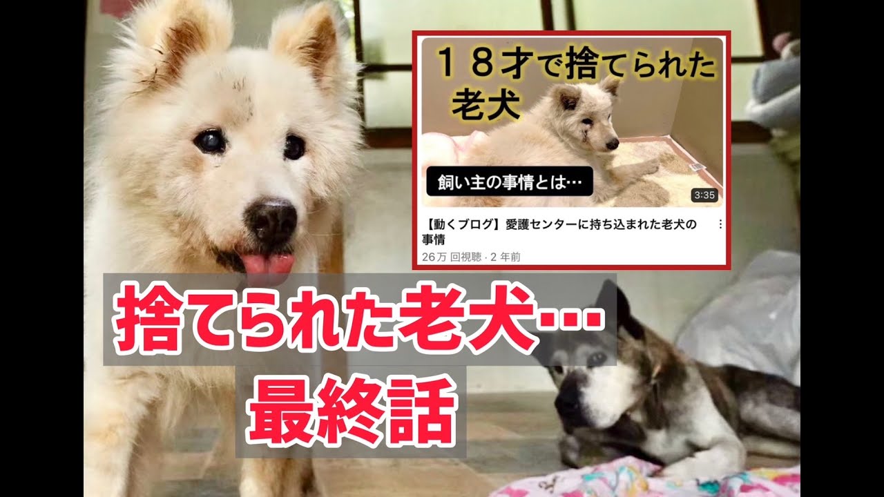 自然な老衰。それしか望んでいなかったのに…