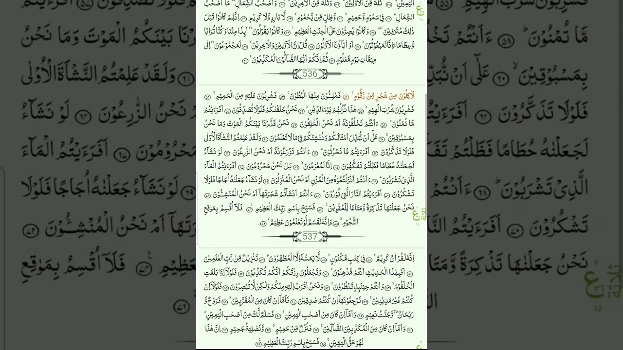 surat al-waqiah - 1 hour || sheikh khalil husari
