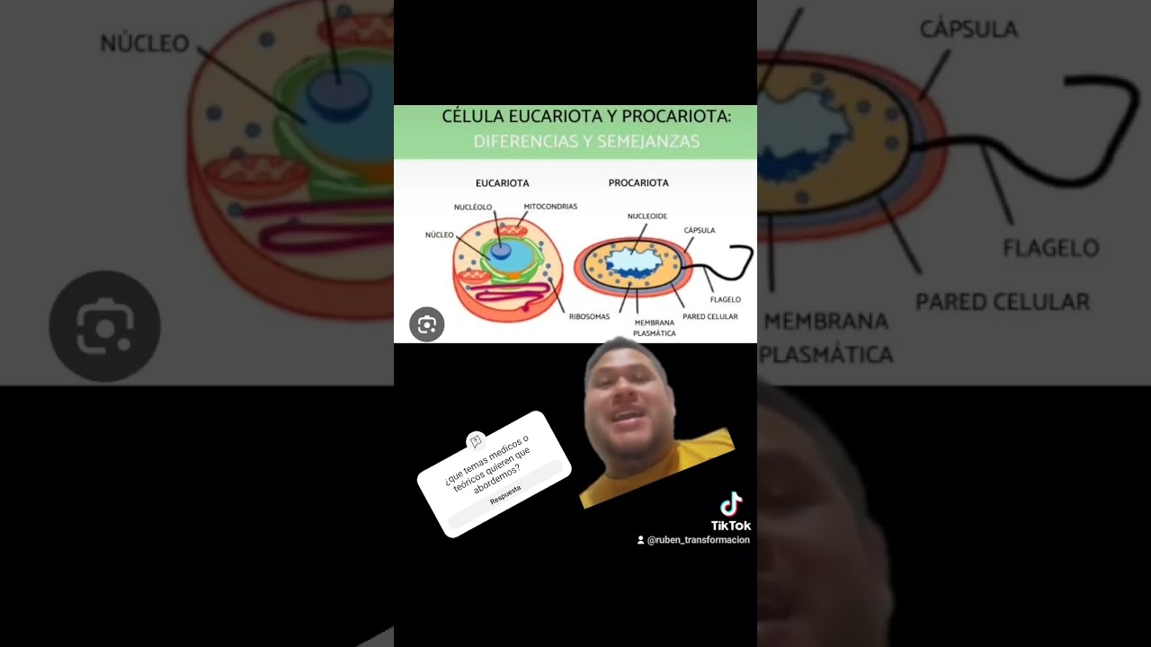 célula eucariota y procariota diferencia principal. #histologia  #procariota #doctor #eucariota