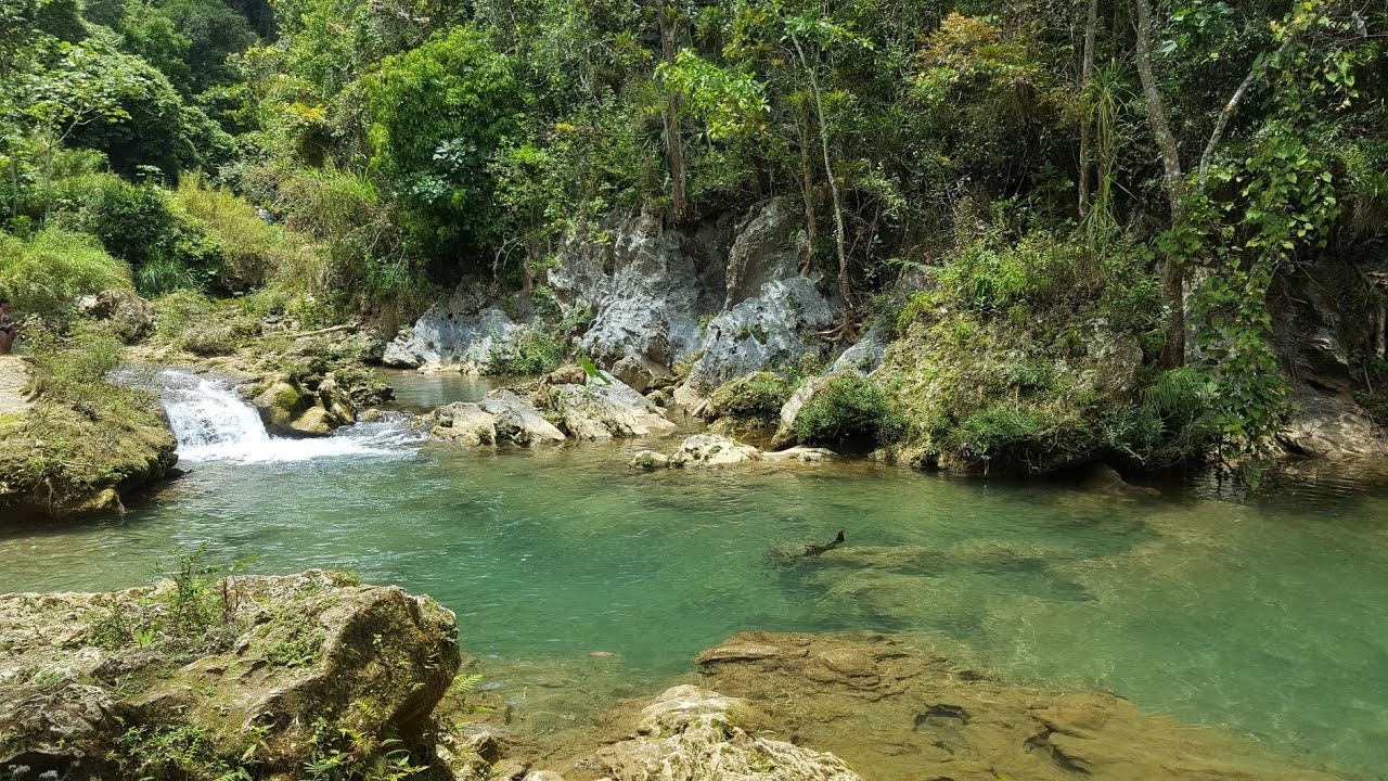 Von Cienfuegos zum el nicho