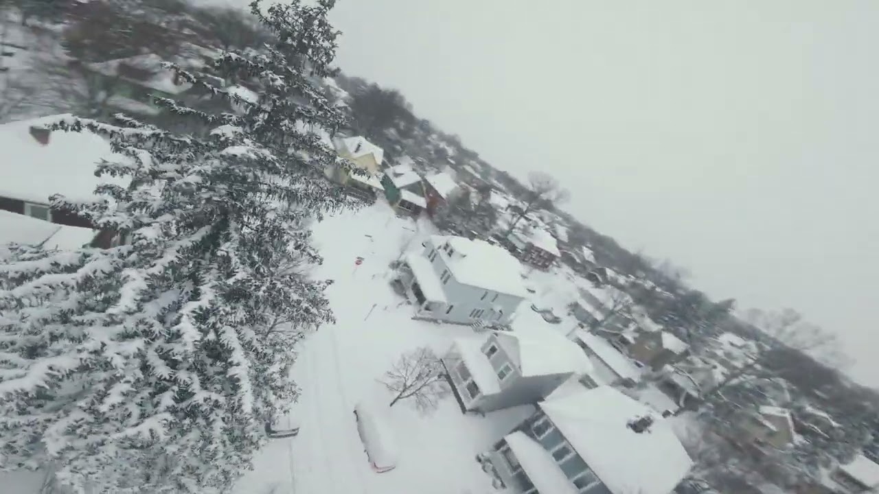 Flywoo Explorer O4 - Storm Fern Columbus FPV