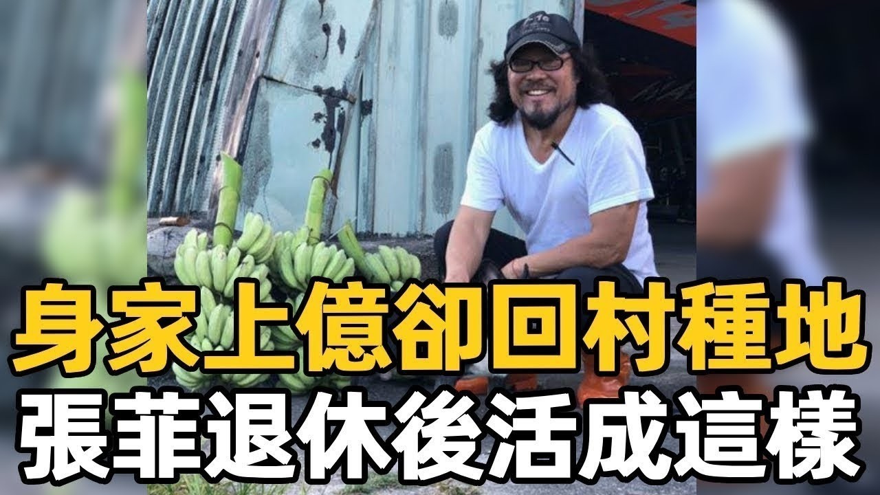 身家上億卻回村種地，72歲張菲退休後活成這樣，兒子真面目終於瞞不住#張菲 #費玉清 #娛樂星鮮事