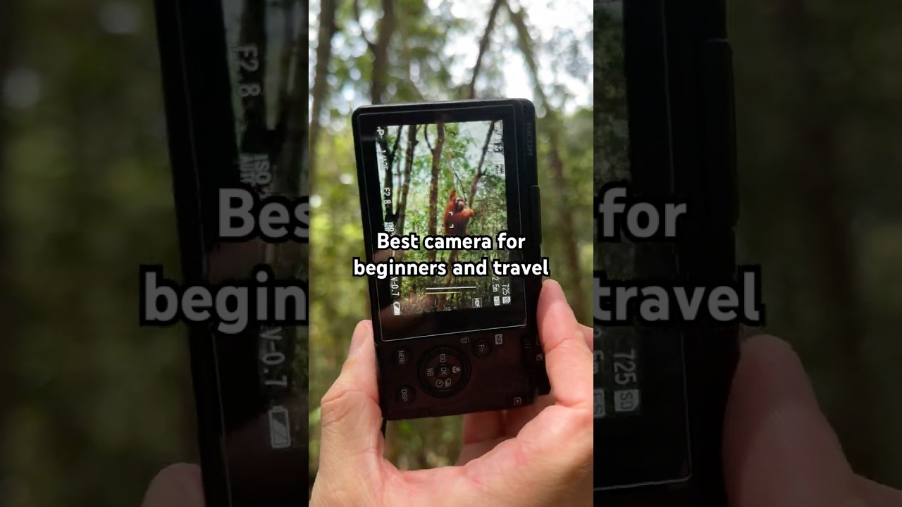 Ricoh GR IIIx HDF Sample Photos &ndash; Stunning Image Quality in a Compact Camera!