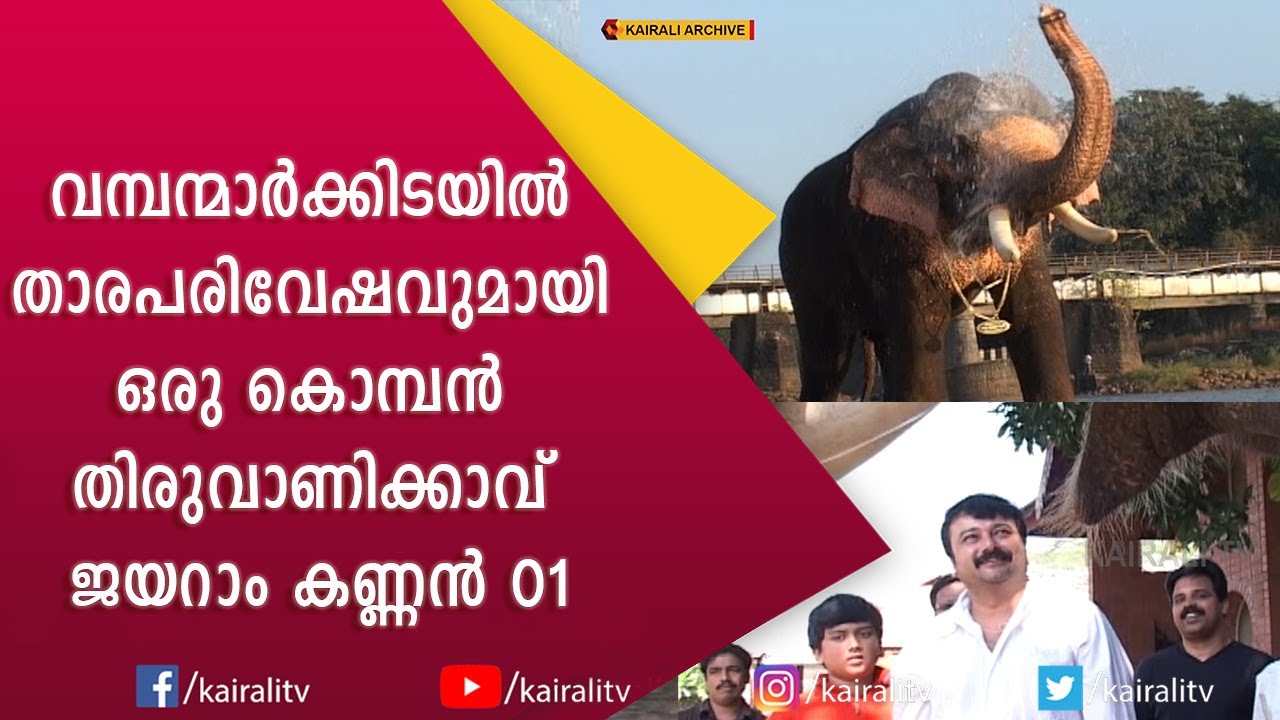 ജയറാമിന്റെ സ്വന്തം ആന തിരുവാണിക്കാവ് ജയറാം കണ്ണൻ #1 | Thiruvanikkavu Jayaram Kannan | E for Elephant