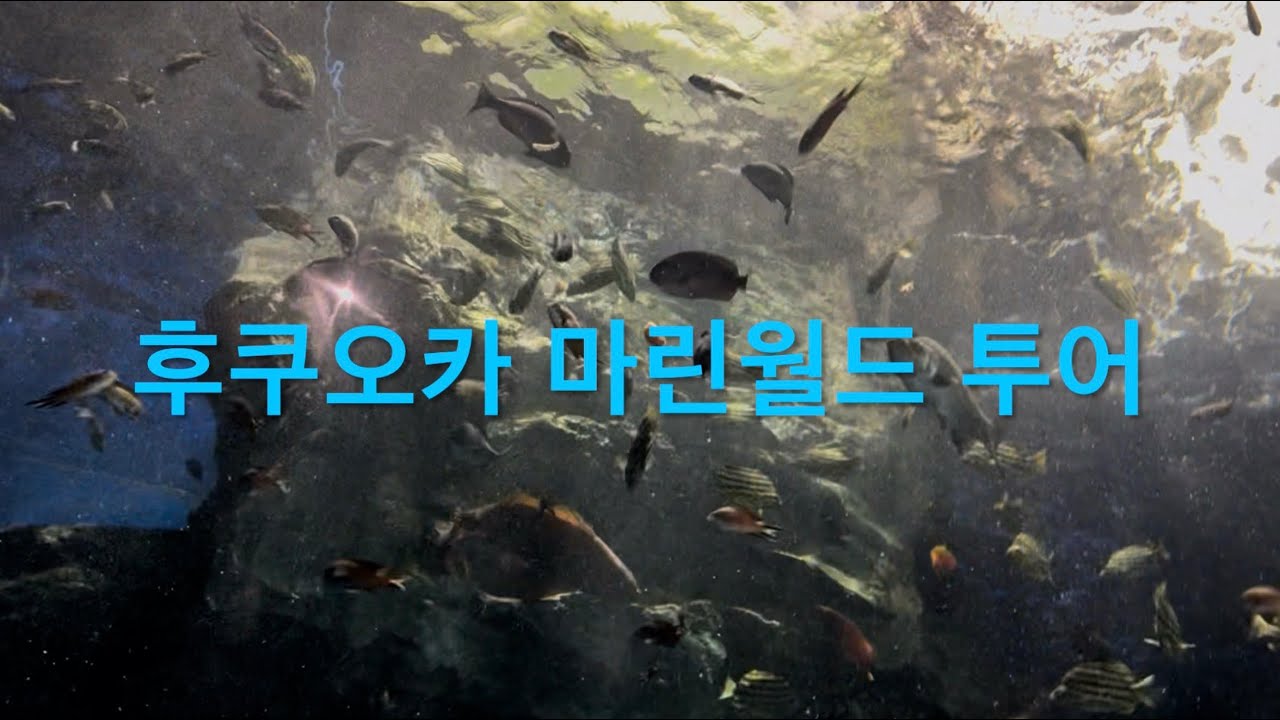 후쿠오카 마린월드 투어