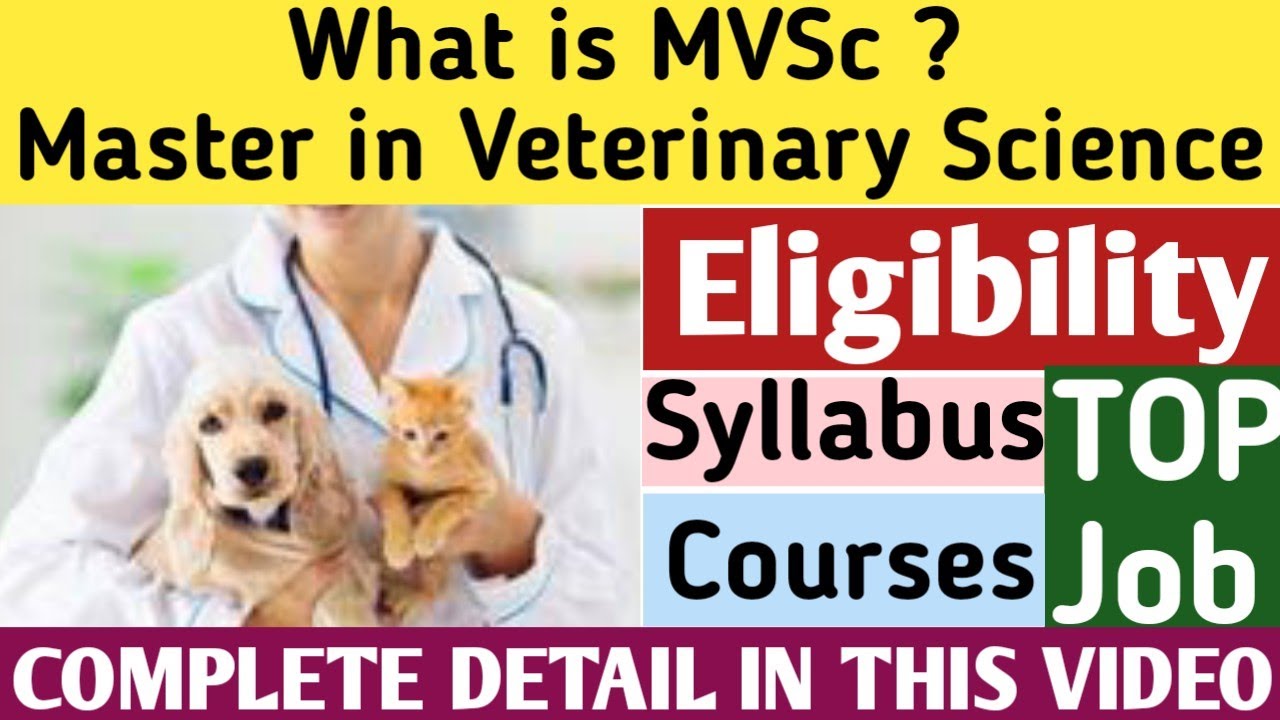 What is MVSc? |MVSc : Eligibility,Admission Process,Entrance Exam,Syllabus,Career,Scope & Future Job