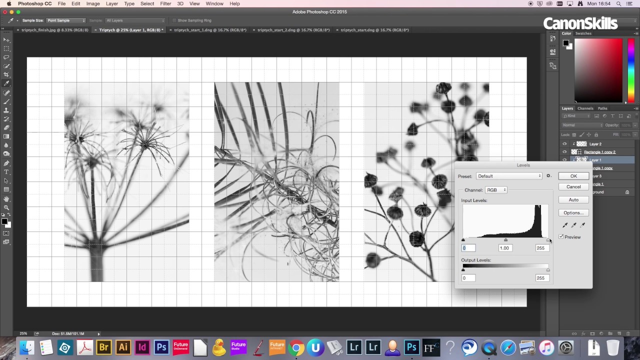 Creating a Triptych