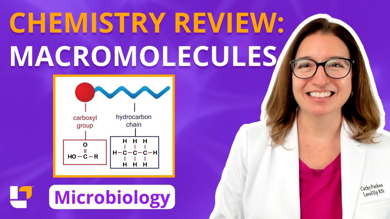 Macromolecules: Chemistry Review - Microbiology for Pre-Med / Nursing Students |​⁠ @leveluprn