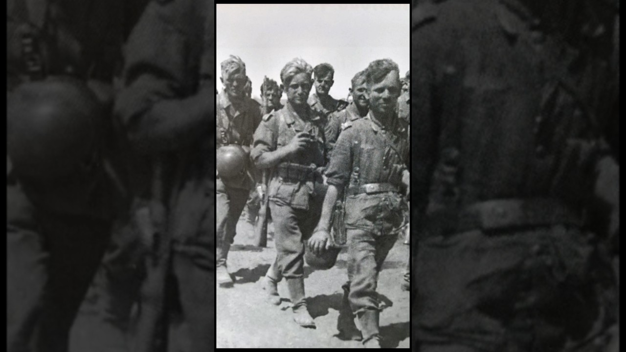 The Tragic Fate of Germany's 6th Army #ww2 #military #history