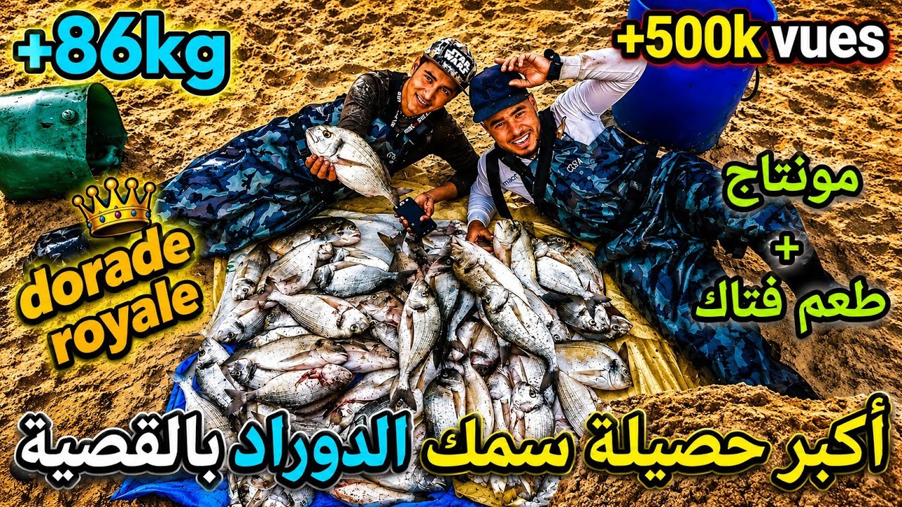 لم نتوقف عن سحب الدوراد طول اليوم والحصيلة كانت هائلة the largest dorad fishing @aminefishing4226