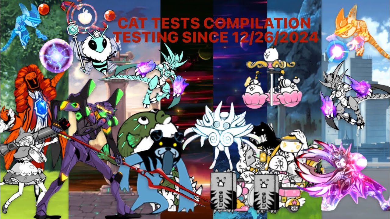 Cat Tests Seasons 1 and 2 Compilation (ALL Videos)
