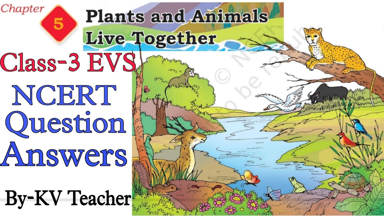 Question Answers ONLY/ Plants and Animals live together / Class-3 EVS TWAU New NCERT Chapter-4 KV