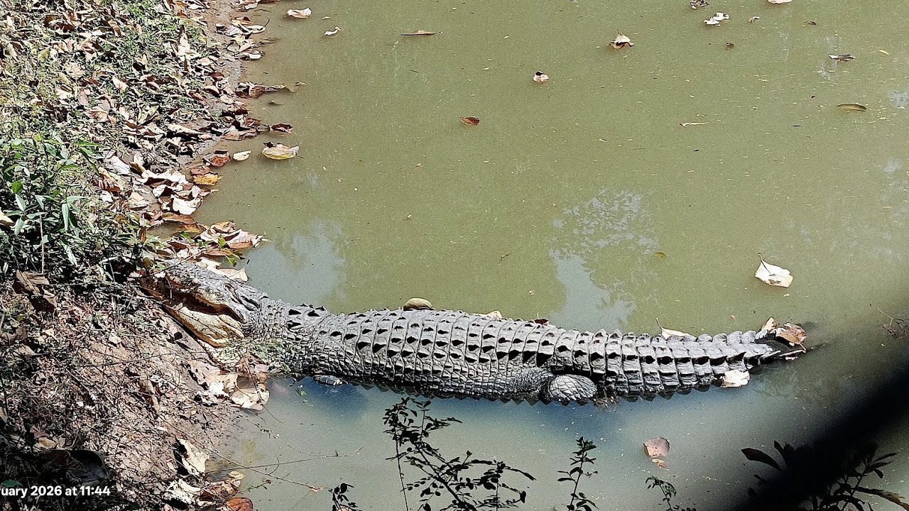 Bardhaman tour 2026#tourism #tour #bardhaman #bardhamanvlog 
