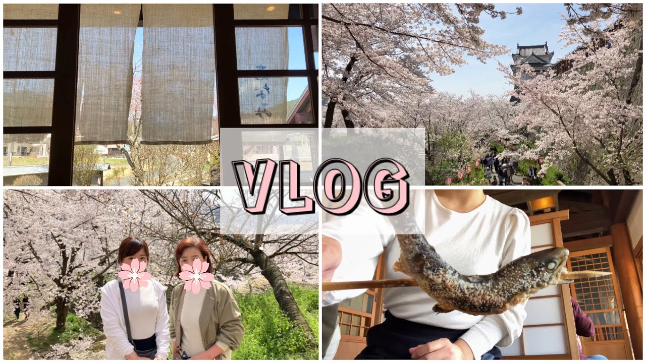223★vlog14★津山市観光｜川魚のアマゴを食す🐟/桜満開の津山城散策🌸