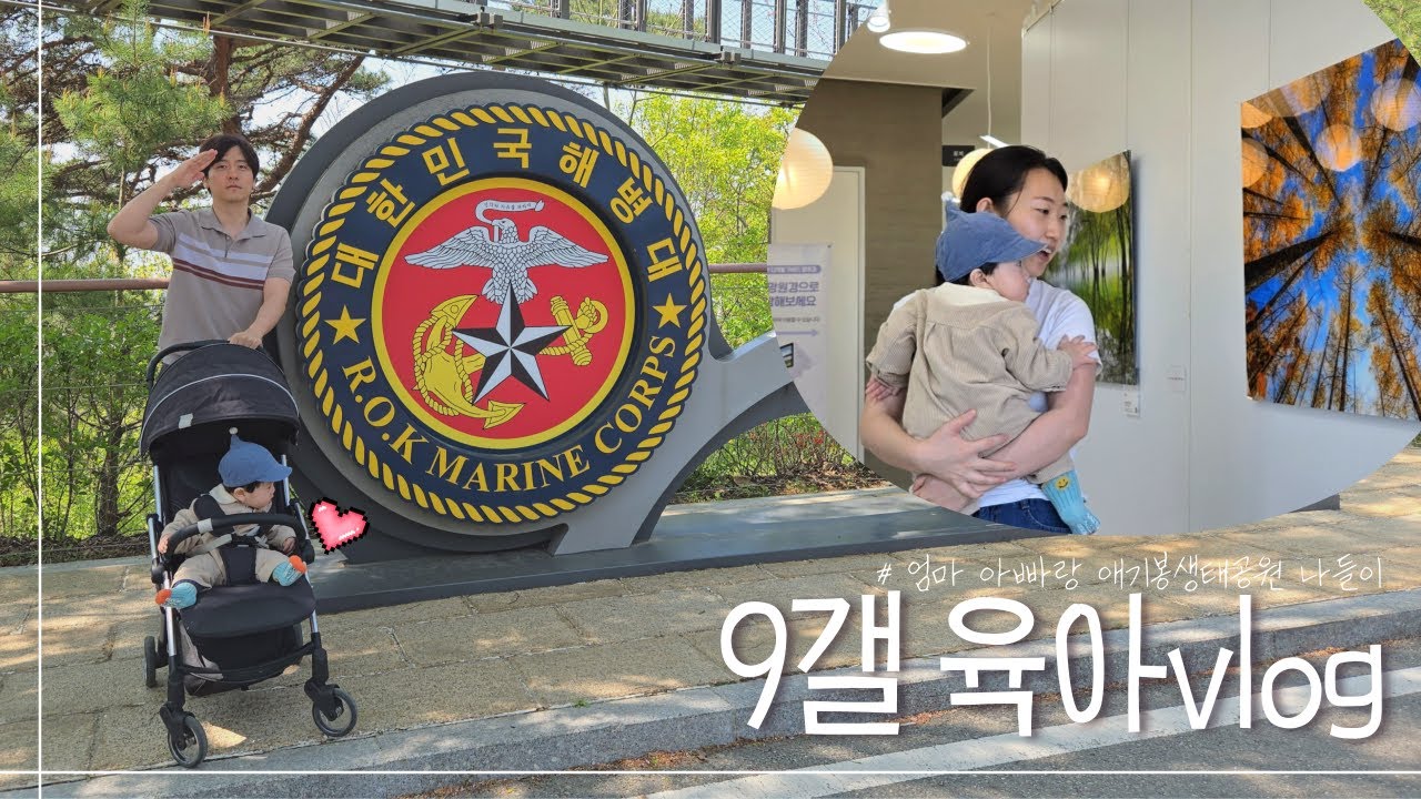 9갤 아기vlog | 애기봉생태공원 나들이, 북한구경