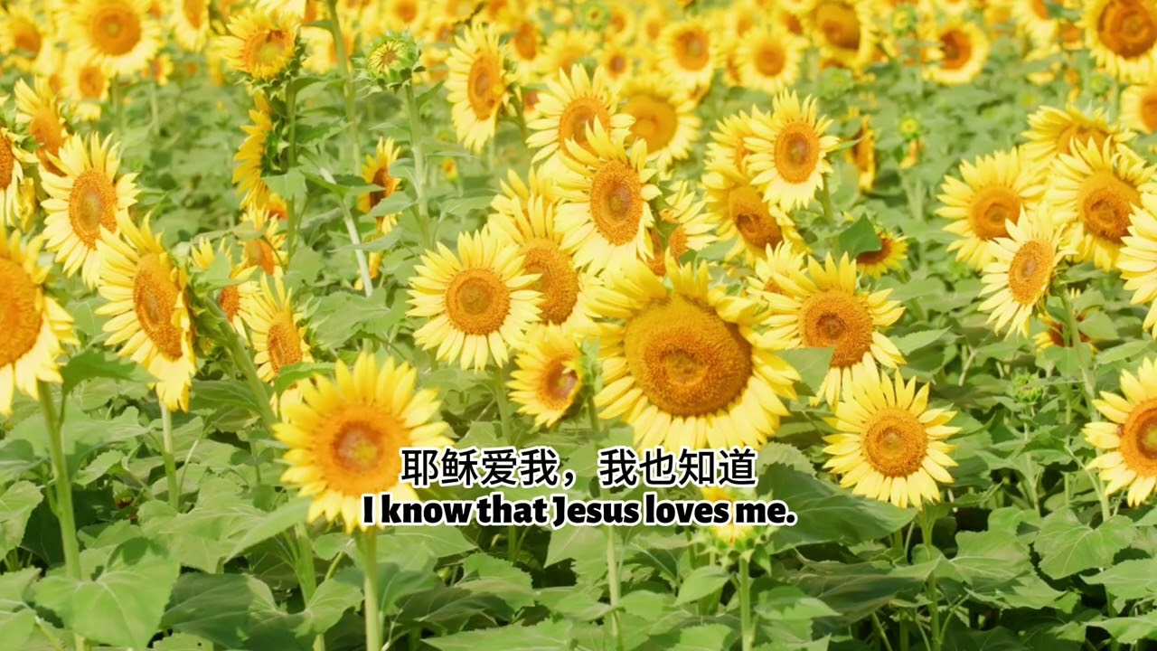 Don't Stop Me from Coming to Jesus