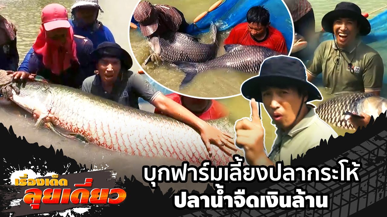 เรื่องเด็ดลุยเดี่ยว | บุกฟาร์มเลี้ยงปลากระโห้ ปลาน้ำจืดเงินล้าน | ข่าวเที่ยงอมรินทร์ | 5 ต.ค. 67