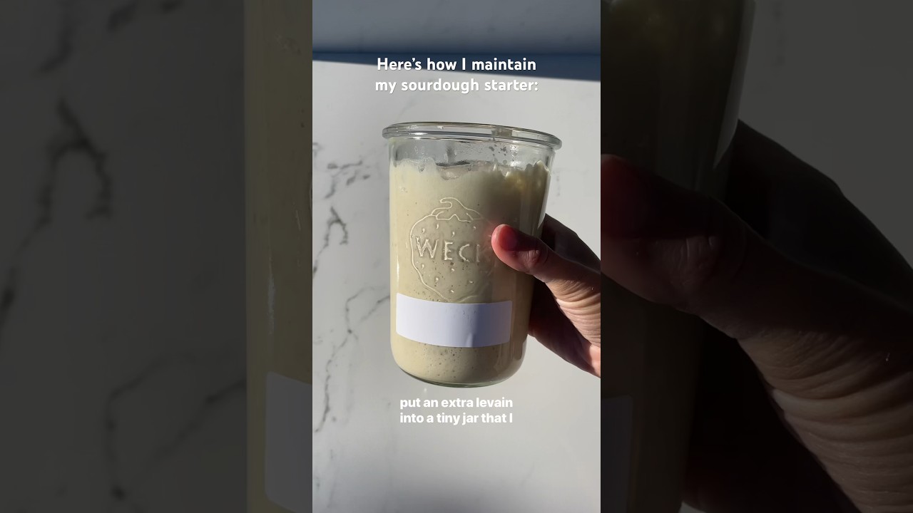 How to maintain sourdough starter #baking #sourdough #bread