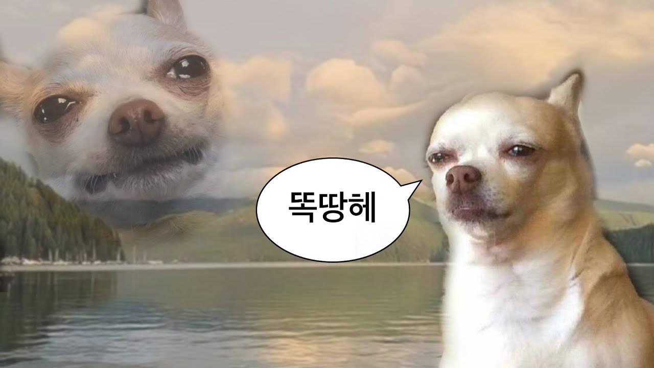 [CCM Playlist] 똑땅할 때 듣는 찬양☔
