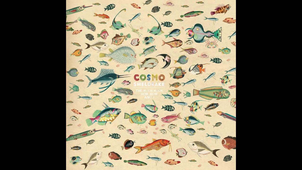 Cosmo Sheldrake - Birthday Suit [Extended Instrumental]