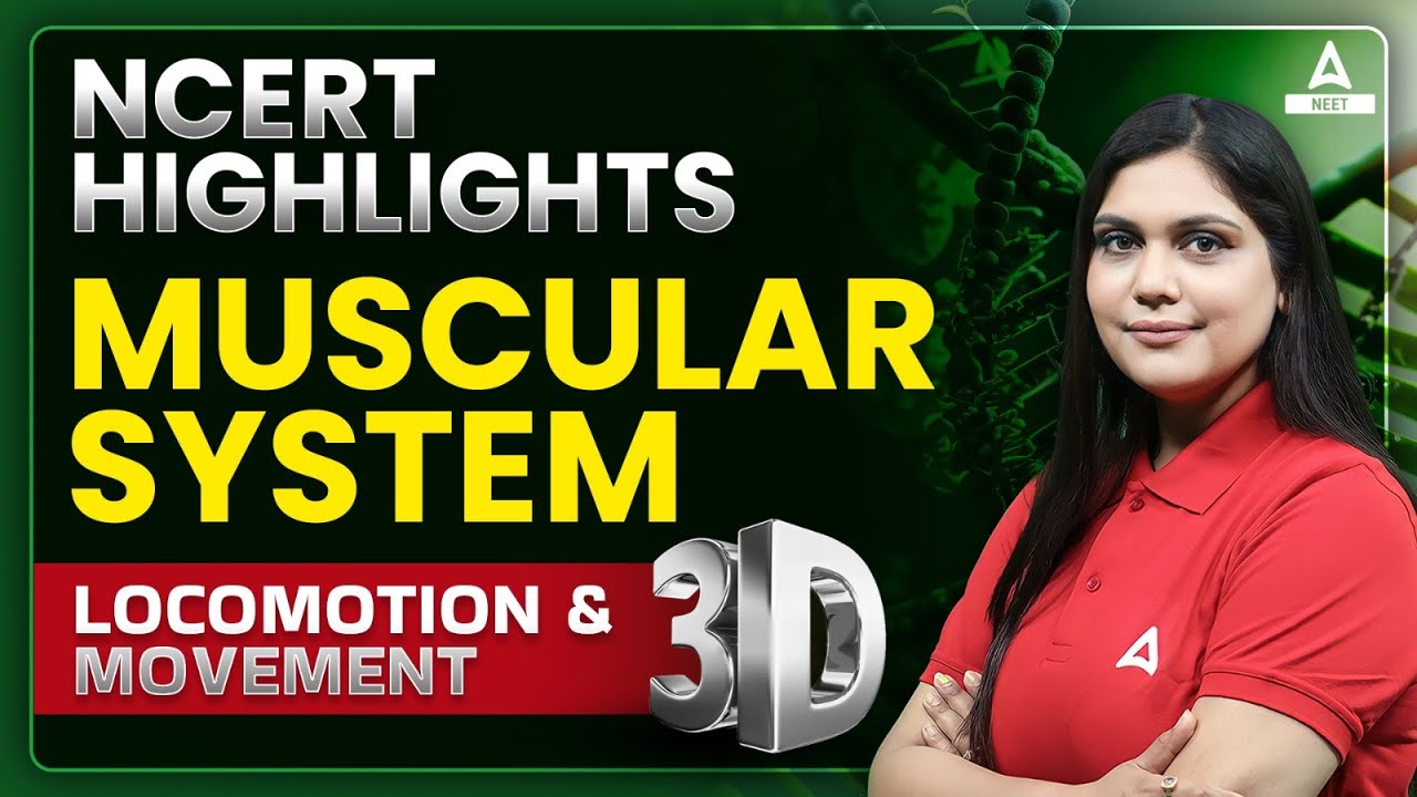 Locomotion and Movement Class 11 One Shot | Muscular System in 3D | NEET 2024 | Garima Goel