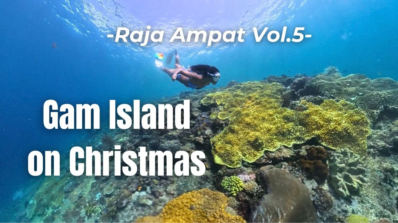 Exploring Gam Island on Christmas  | Raja Ampat Vol.5