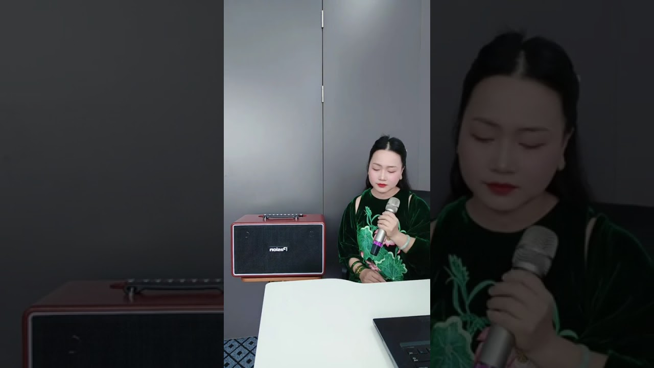  Loa xách tay hát karaoke nghe nhạc - Loa pasion Arte bảo hành tận 3 năm 