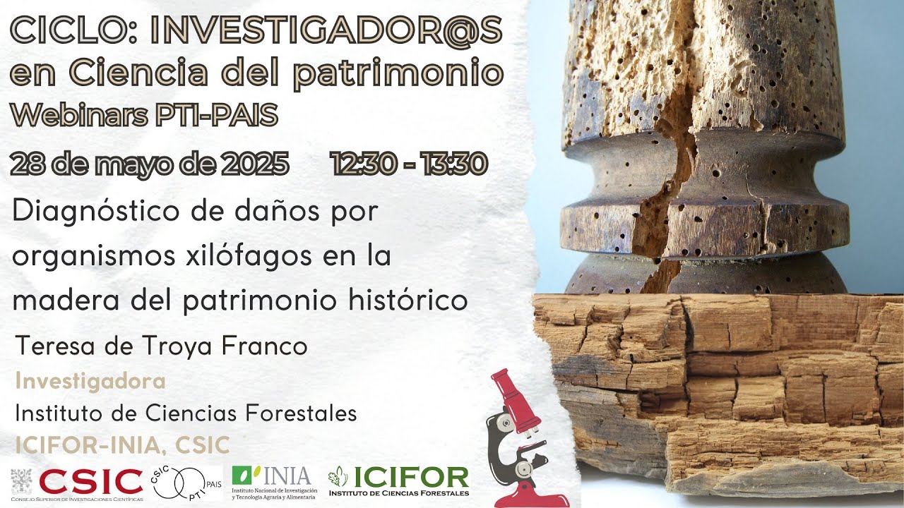Diagnóstico de daños por organismos xilófagos en maderas del patrimonio. Maite de Troya. ICIFOR-INIA